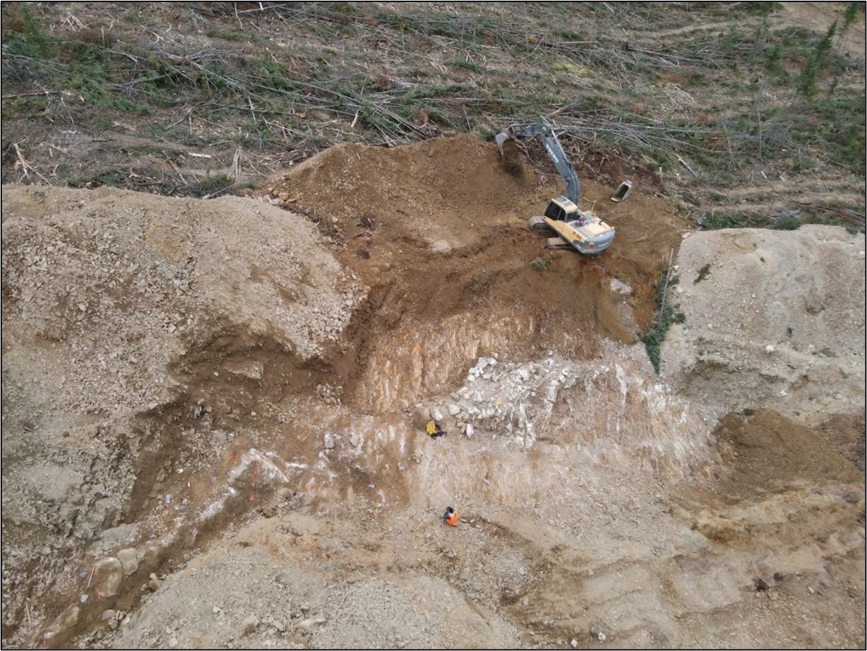 Quartz gold vein (in white) at the Tiger 1 trench