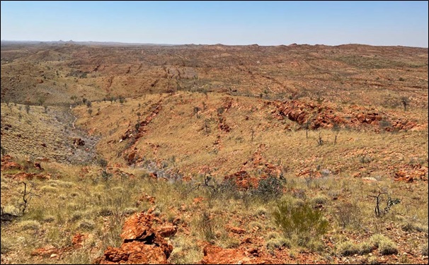 Figure 1: Photo of pegmatite swarms at the Lepidolite Fields LCT Target (looking southeast)