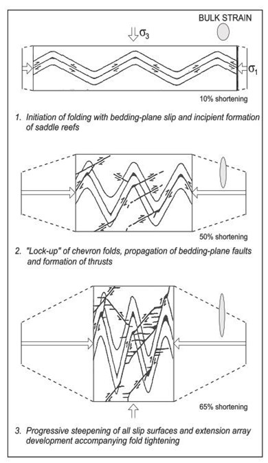 Deformation model