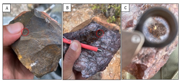 Figure2