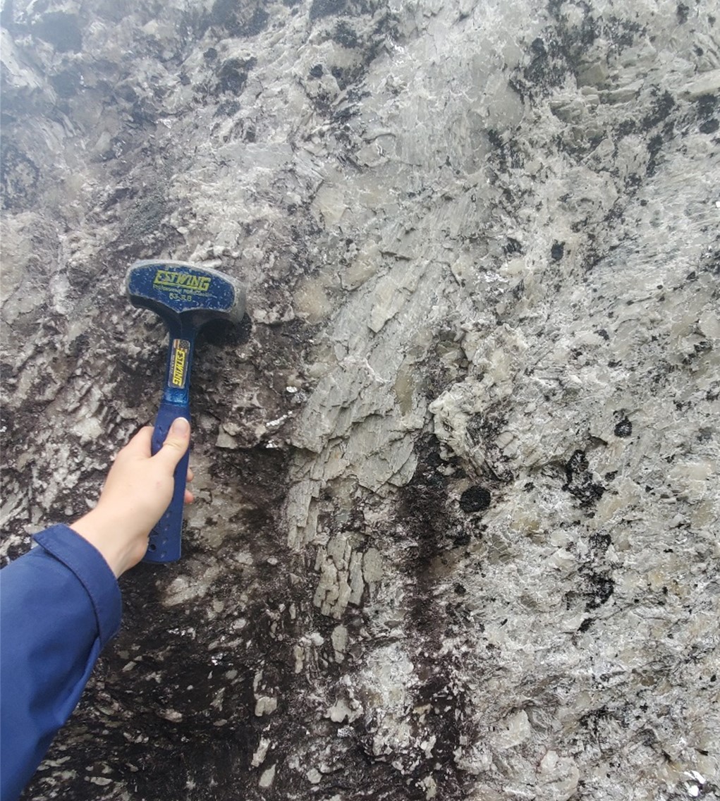 Large off-white spodumene crystal in one of several new boulder discoveries