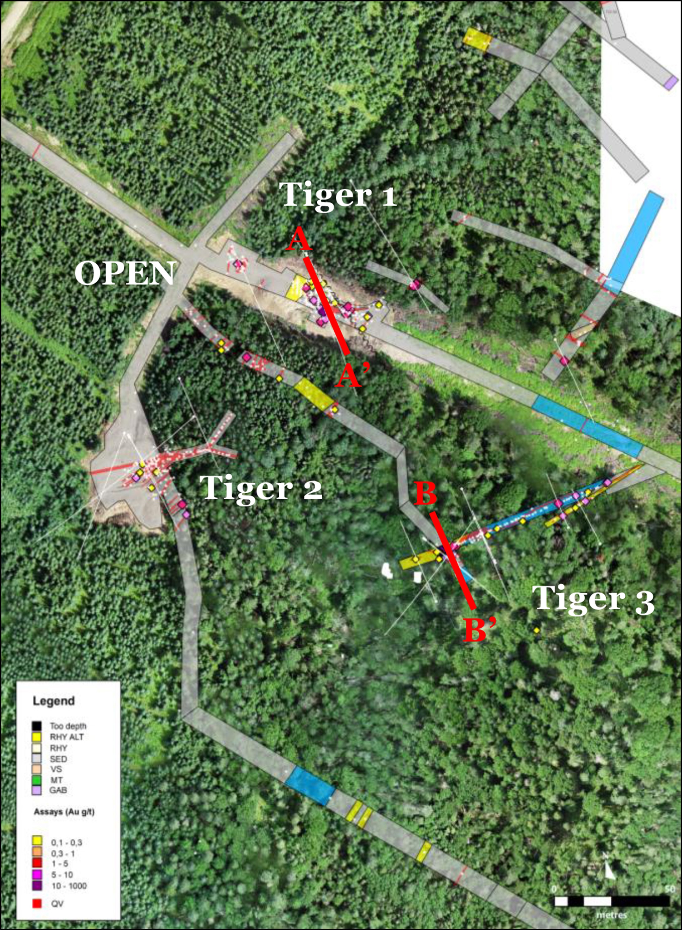 Drillhole location over the trenched Tiger Gold structures