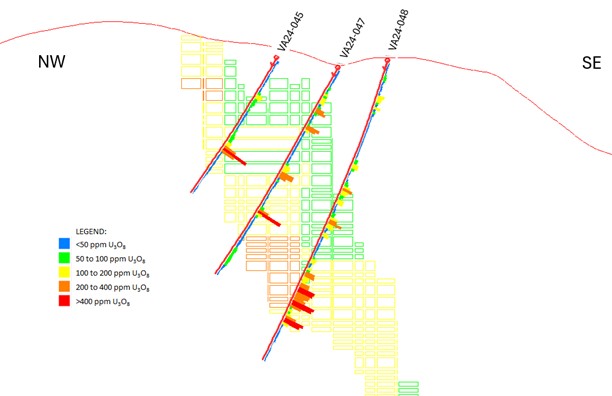 Section 2 through the Valencia East target. 2024 drillholes as at 7 August 2024 on a background of the May 2024 MRE block model. Note higher grade (