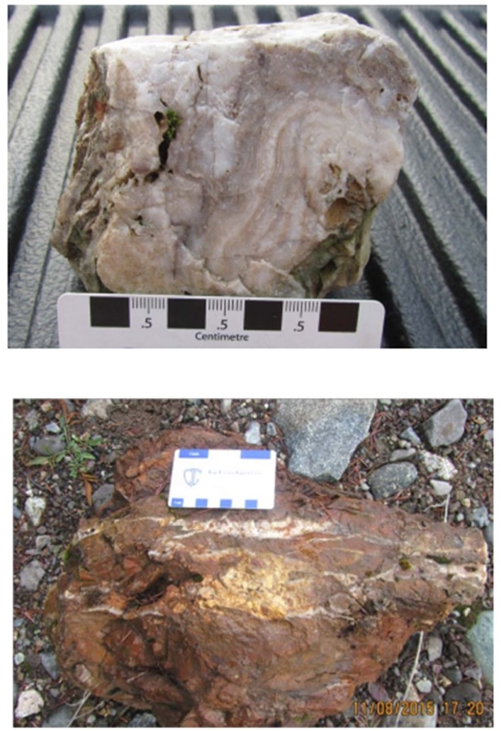 Quartz Veining in Rock Samples at Bonanza Target (assays up to 43.34 g/t Au)