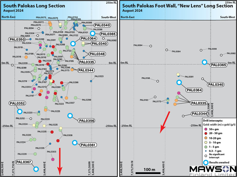 Long-section illustration demonstrating both historical and 2024 drill intercepts in the South Palokas prospect (left) and the ‘new lens’ (right) that is positioned approximately 100 m vertically below the South Palokas mineralisation. Intercepts from the 2024 drilling season are labelled in bold with their results represented in gold gram-metres (gold g/t x intercept thickness in metres). The small black rings indicate ‘no significant intercept’ and open blue rings indicate ‘awaiting assay result’. Red arrows demonstrate the direction in which gold-cobalt mineralisation remains ‘open’ and untested. Section line is oriented on approximately 030 strike; see dashed blue line in Figure 1 above for reference.