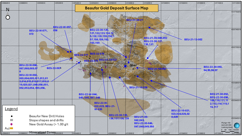 Beaufor_August 2024 PR-Fig2