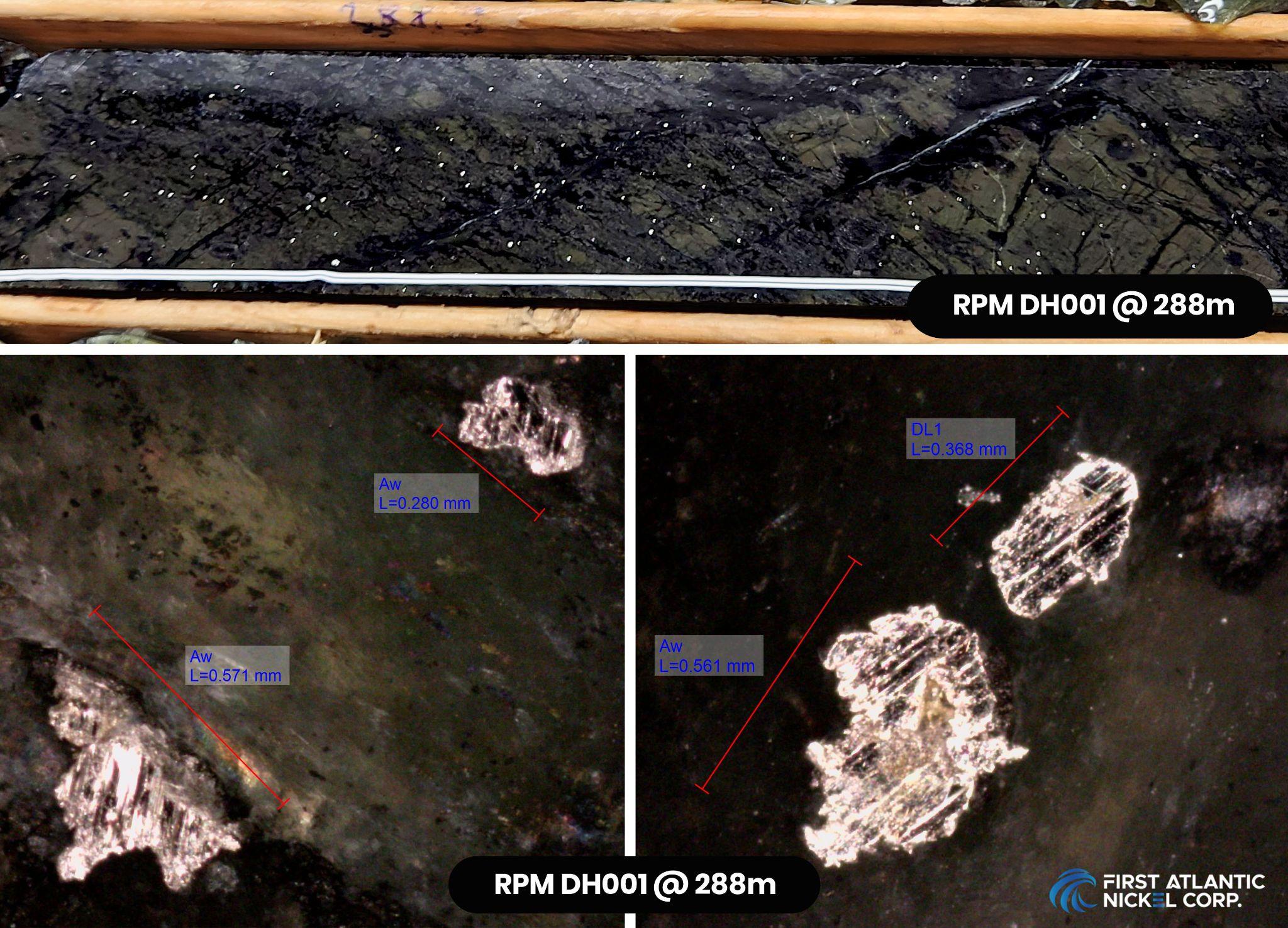 Top image showing coarse grained visible nickel-iron alloy (awaruite) in serpentinized ultramafics within the first drillhole at RPM Zone DDH001 (24-AN-02) at 288 meters downhole; bottom images are microscope photos showing large grains of nickel-iron alloy ranging from 280 microns to 571 microns at 288 meters.