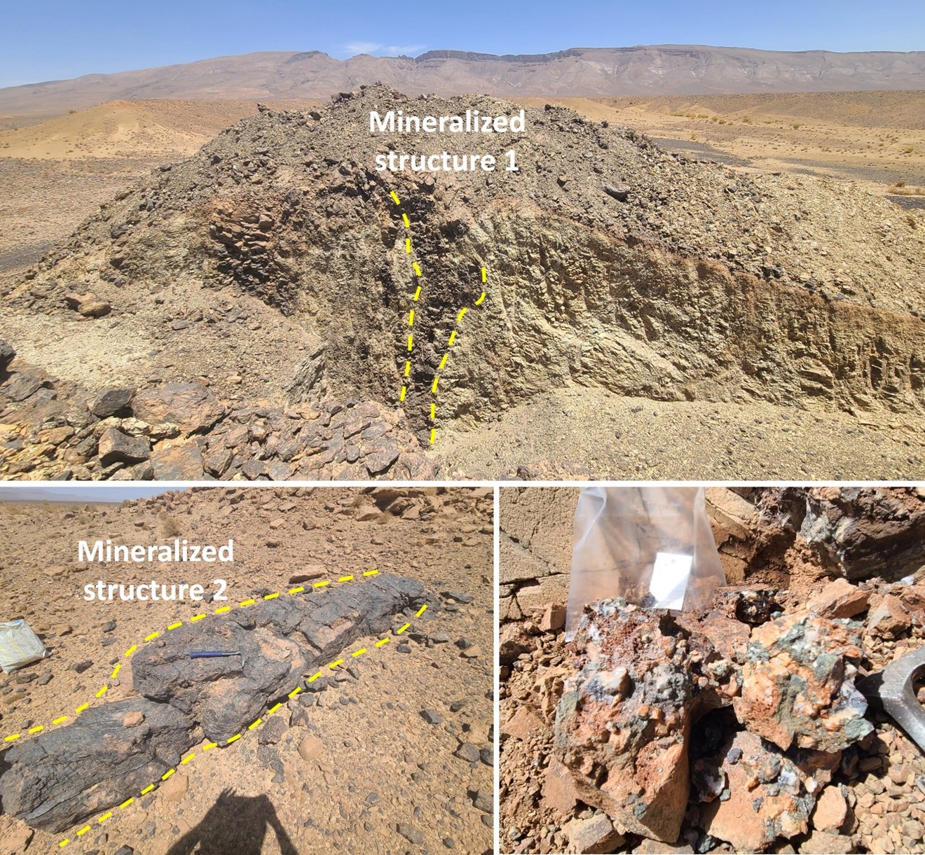 Timarighine Mineralized Structures