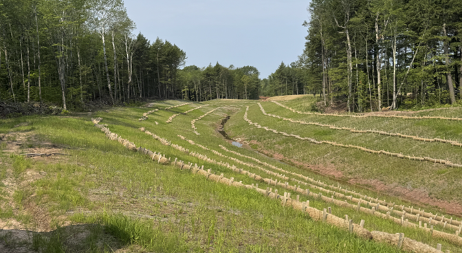 Stream diversion maturing with natural growth