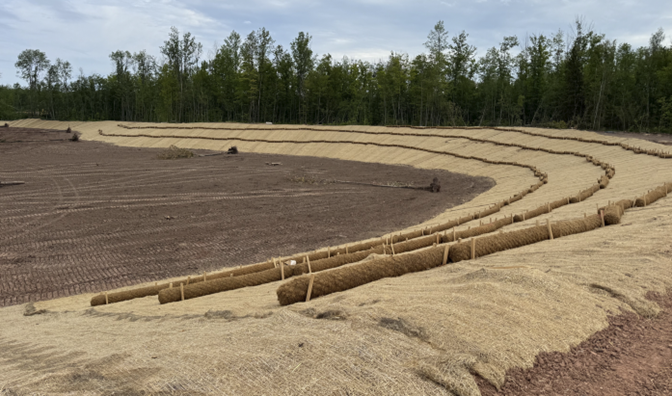 Wetland creation with anti-erosion structures