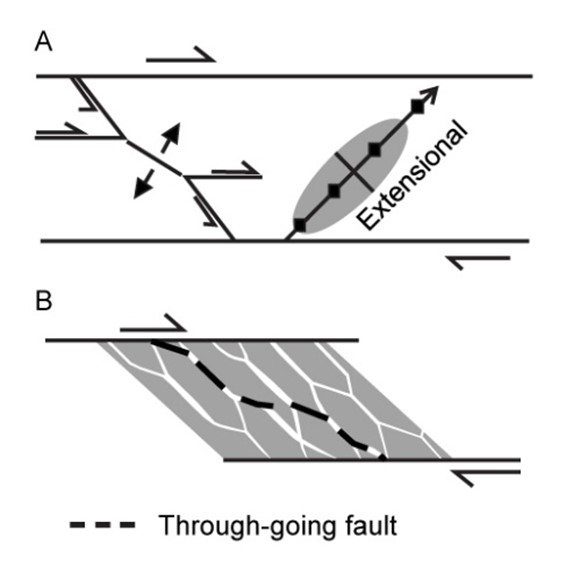 (modified from De Paola, N., et al (2008))