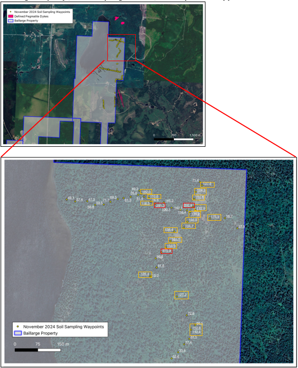 November 2024 Soil Sampling Campaign: The majority of the soil anomalies above 100 ppm Li were detected from samples taken in this area @ 25 m sample station spacings