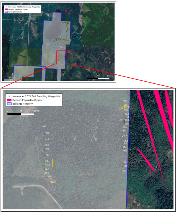 November 2024 Soil Sampling Campaign: The second largest number of soil anomalies above 100 ppm Li were detected from samples taken in this area @ 25 m sample station spacings