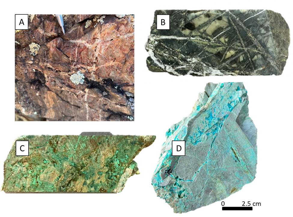 Quartz vein stockworks at Smart Creek in outcrop (3A) and drill core (3B). Copper oxides/carbonates in fractures cutting the Helena Formation metasedimentary rocks. Drill core (3C) and outcrop/hand specimen (3D).