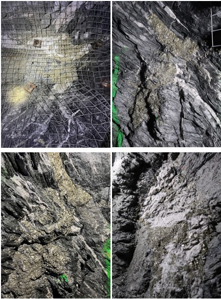 Visible sulfide mineralization in the bottom sill development.