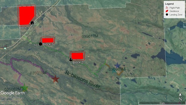 Location of the magnetic surveys in the project area.