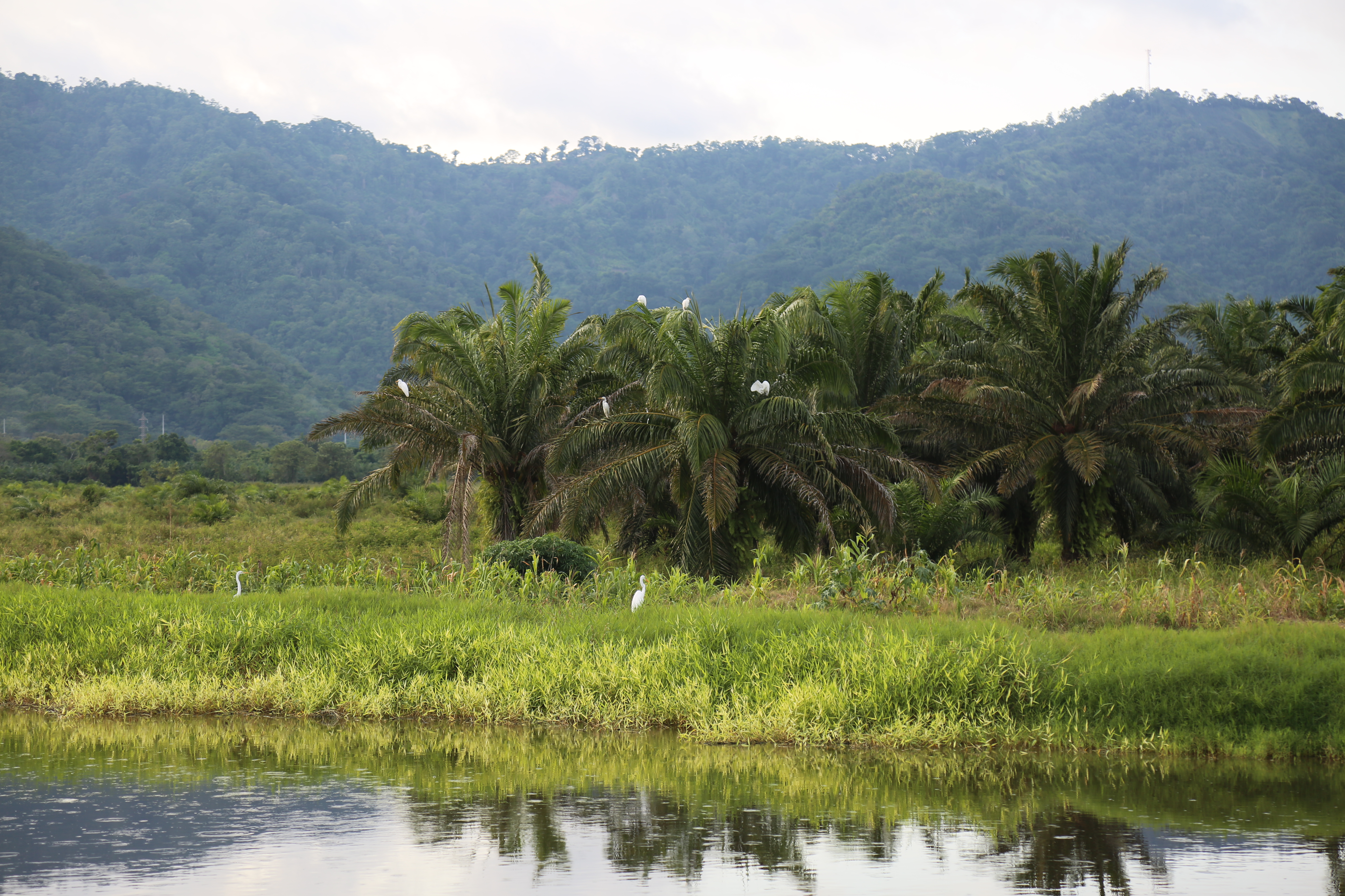 Landscape photo featuring Gildan's Biotop